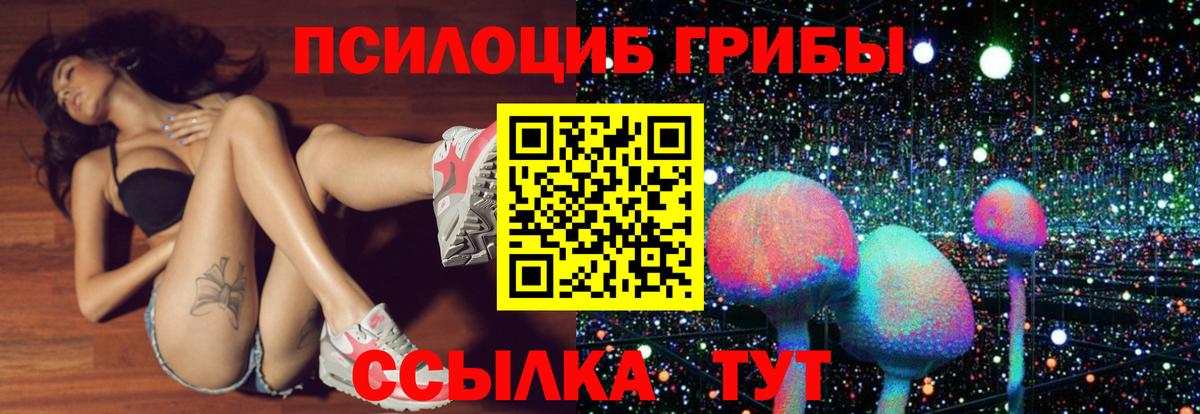 Псилоцибиновые грибы GOLDEN TEACHER Касимов