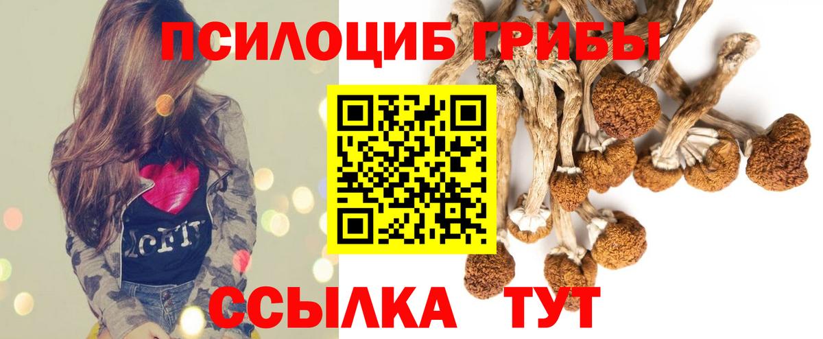 Касимов  Галлюциногенные грибы мухоморы  Вход с VPN 